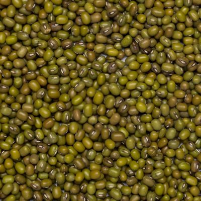 Groene Katjang (mungbonen) Fair trade van Do It, 1x 25 kilo.